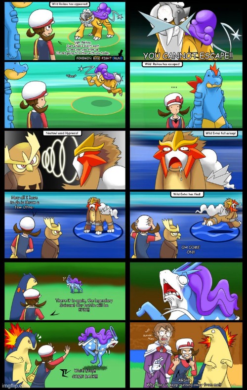 Stupid legendary dogs | image tagged in stupid,legendary,dogs,pokemon,why,stop reading the tags | made w/ Imgflip meme maker