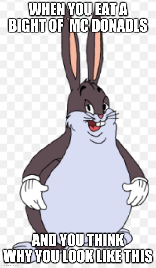 bigchungus | WHEN YOU EAT A BIGHT OF  MC DONADLS; AND YOU THINK WHY YOU LOOK LIKE THIS | image tagged in bigchungus | made w/ Imgflip meme maker