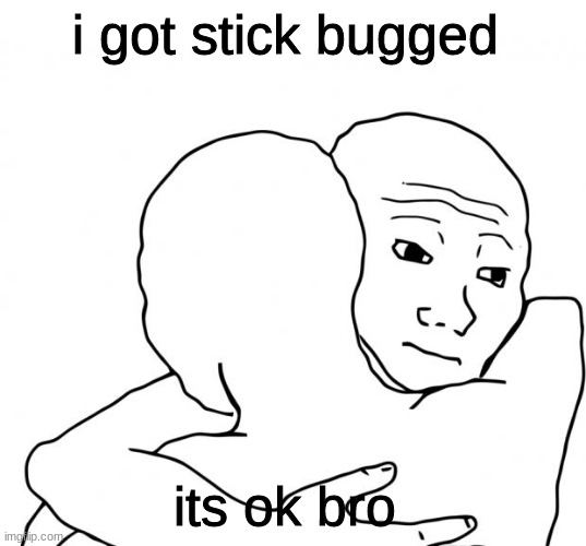 I Know That Feel Bro Meme | i got stick bugged; its ok bro | image tagged in memes,i know that feel bro | made w/ Imgflip meme maker