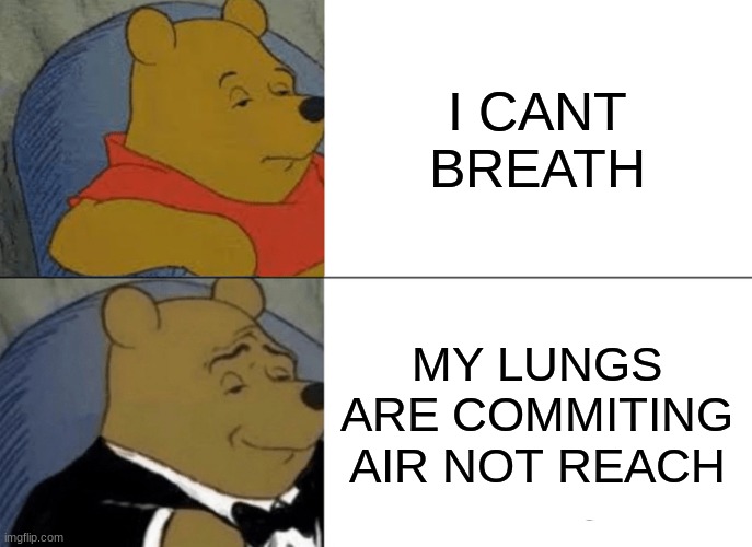 IMS IS UNDUR WADER | I CANT BREATH; MY LUNGS ARE COMMITING AIR NOT REACH | image tagged in memes,tuxedo winnie the pooh | made w/ Imgflip meme maker
