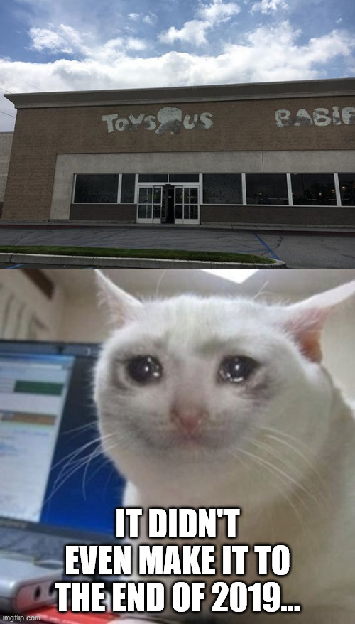 :-( WHY? WHY? | IT DIDN'T EVEN MAKE IT TO THE END OF 2019... | image tagged in crying cat,dead toys r us | made w/ Imgflip meme maker