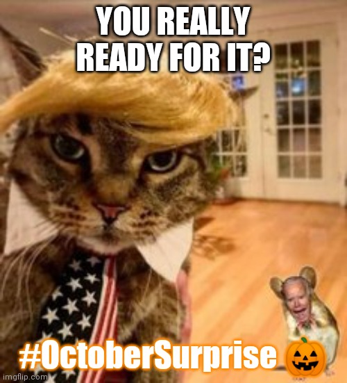 Trust me.  It's more fun this way... #OctoberSurprise | YOU REALLY READY FOR IT? #OctoberSurprise 🎃 | image tagged in cat trumps mouse,hunt for red october,spygate,donald trump you're fired,the great awakening,trump 2020 | made w/ Imgflip meme maker