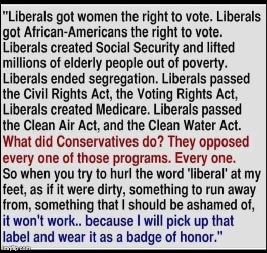 but conservative democrats supported slavery & jim crow maga | image tagged in liberals civil rights,maga,democrats,democrat,liberals,repost | made w/ Imgflip meme maker