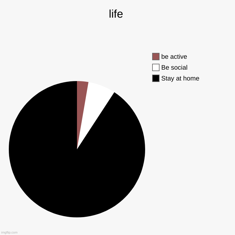 life | Stay at home, Be social, be active | image tagged in charts,pie charts | made w/ Imgflip chart maker