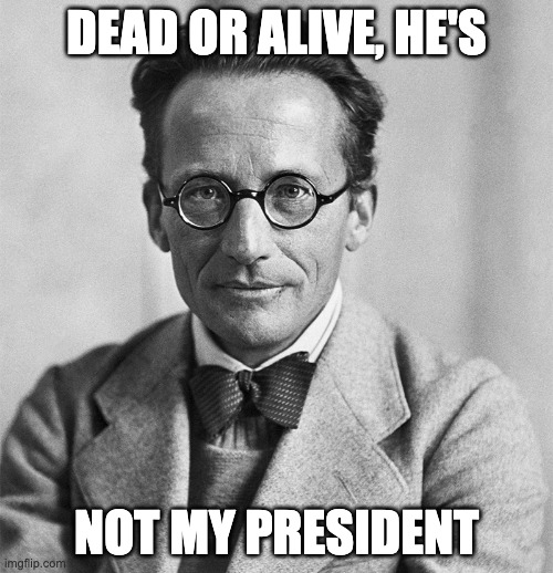 Schroedinger's Trump | DEAD OR ALIVE, HE'S; NOT MY PRESIDENT | image tagged in schroedinger,notmypresident | made w/ Imgflip meme maker