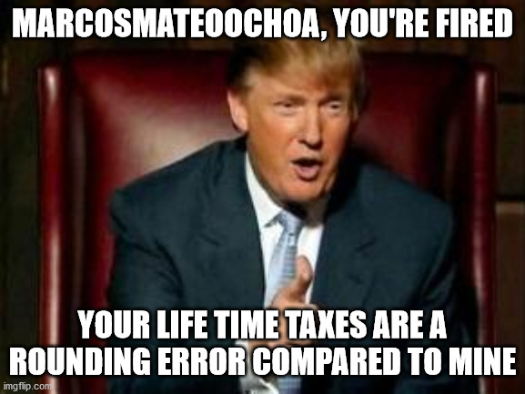 Donald Trump | MARCOSMATEOOCHOA, YOU'RE FIRED YOUR LIFE TIME TAXES ARE A ROUNDING ERROR COMPARED TO MINE | image tagged in donald trump | made w/ Imgflip meme maker
