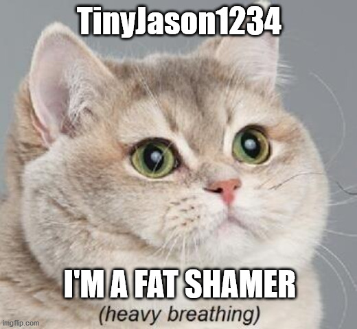 Heavy Breathing Cat Meme | TinyJason1234 I'M A FAT SHAMER | image tagged in memes,heavy breathing cat | made w/ Imgflip meme maker