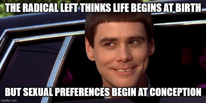 dumb and dumber | THE RADICAL LEFT THINKS LIFE BEGINS AT BIRTH BUT SEXUAL PREFERENCES BEGIN AT CONCEPTION | image tagged in dumb and dumber | made w/ Imgflip meme maker