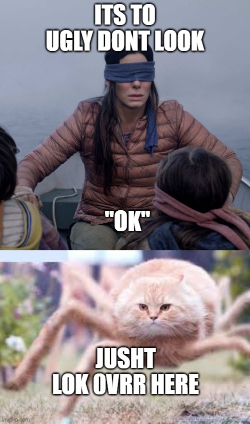 its to ugly! | ITS TO UGLY DONT LOOK; "OK"; JUSHT LOK 0VRR HERE | image tagged in memes,bird box | made w/ Imgflip meme maker