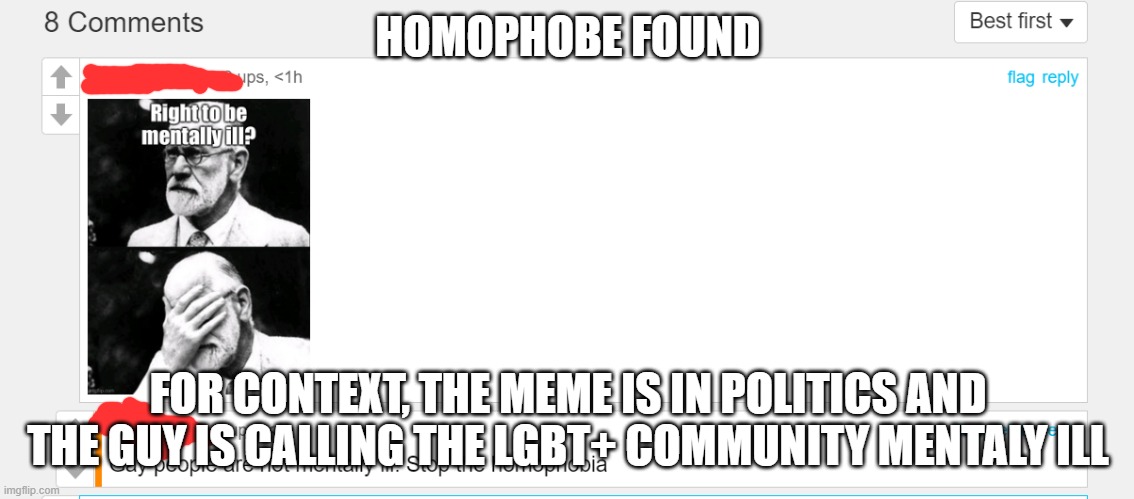 HOMOPHOBE FOUND; FOR CONTEXT, THE MEME IS IN POLITICS AND THE GUY IS CALLING THE LGBT+ COMMUNITY MENTALY ILL | made w/ Imgflip meme maker