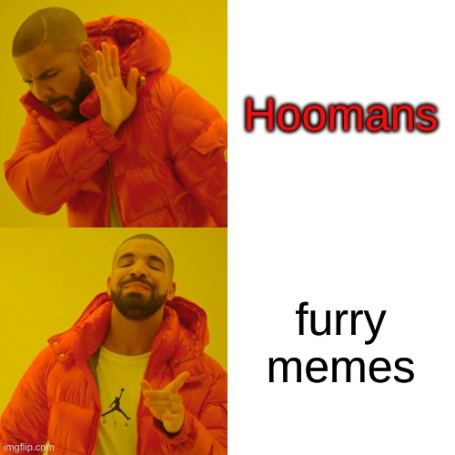 Drake Hotline Bling Meme | Hoomans furry memes | image tagged in memes,drake hotline bling | made w/ Imgflip meme maker