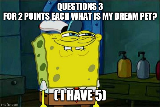 Don't You Squidward Meme | QUESTIONS 3

FOR 2 POINTS EACH WHAT IS MY DREAM PET? ( I HAVE 5) | image tagged in memes,don't you squidward | made w/ Imgflip meme maker