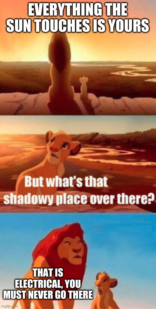 Simba Shadowy Place | EVERYTHING THE SUN TOUCHES IS YOURS; THAT IS ELECTRICAL, YOU MUST NEVER GO THERE | image tagged in memes,simba shadowy place | made w/ Imgflip meme maker