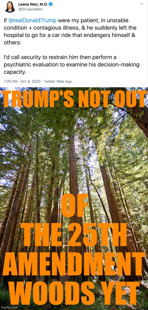 out of the woods re: 25th Amendment? this doctor doesn't think so | TRUMP'S NOT OUT; OF THE 25TH AMENDMENT WOODS YET | image tagged in redwood forest,social distancing,trump is a moron,donald trump is an idiot,trump is an asshole,covid-19 | made w/ Imgflip meme maker