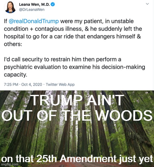 is he out of the woods yet? is he out of the woods yet? is he out of the woods yet? is he out of the woods? | TRUMP AIN'T OUT OF THE WOODS; on that 25th Amendment just yet | image tagged in redwood forest,trump contagious dangerous,song lyrics,covid-19,coronavirus,trump is a moron | made w/ Imgflip meme maker
