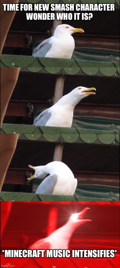 Inhaling Seagull Meme | TIME FOR NEW SMASH CHARACTER 
WONDER WHO IT IS? *MINECRAFT MUSIC INTENSIFIES* | image tagged in memes,inhaling seagull | made w/ Imgflip meme maker