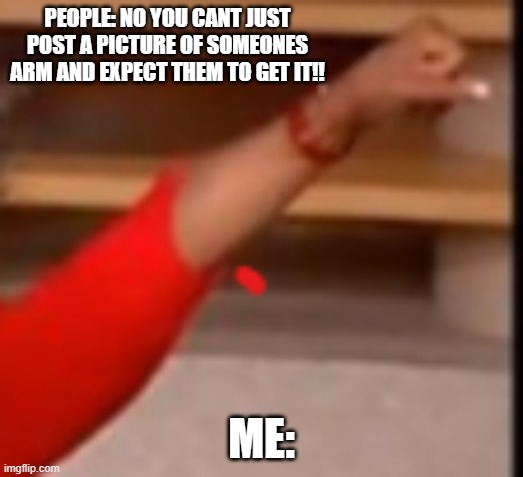 you get an and you get an | PEOPLE: NO YOU CANT JUST POST A PICTURE OF SOMEONES ARM AND EXPECT THEM TO GET IT!! ME: | image tagged in memes,fun,meme,funny | made w/ Imgflip meme maker