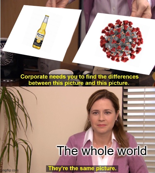 They're the same, right? | The whole world | image tagged in memes,they're the same picture | made w/ Imgflip meme maker