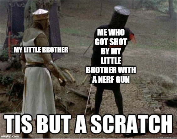 tis but a scratch | ME WHO GOT SHOT BY MY LITTLE BROTHER WITH A NERF GUN; MY LITTLE BROTHER | image tagged in tis but a scratch | made w/ Imgflip meme maker