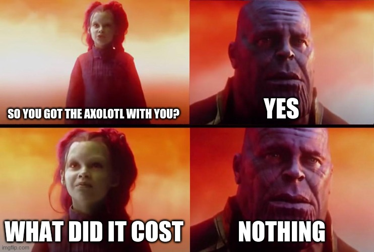 thanos what did it cost | SO YOU GOT THE AXOLOTL WITH YOU? YES WHAT DID IT COST NOTHING | image tagged in thanos what did it cost | made w/ Imgflip meme maker