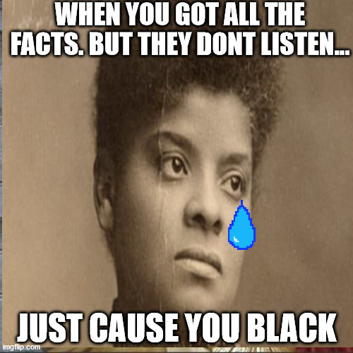 Facts | WHEN YOU GOT ALL THE FACTS. BUT THEY DONT LISTEN... JUST CAUSE YOU BLACK | image tagged in facts | made w/ Imgflip meme maker