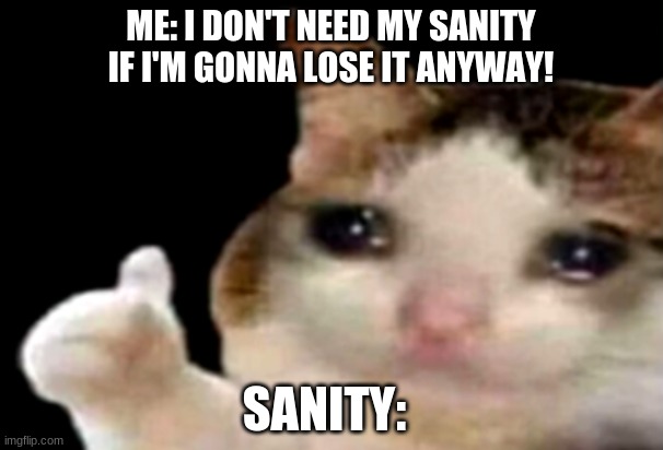 R.I.P Sanity | ME: I DON'T NEED MY SANITY IF I'M GONNA LOSE IT ANYWAY! SANITY: | image tagged in sad cat thumbs up | made w/ Imgflip meme maker