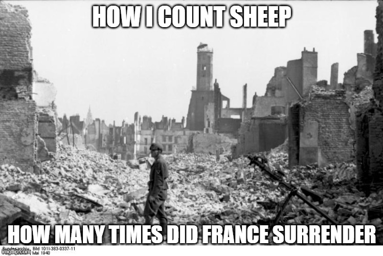 France | HOW I COUNT SHEEP; HOW MANY TIMES DID FRANCE SURRENDER | image tagged in france | made w/ Imgflip meme maker