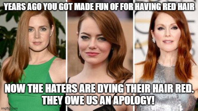typical jealousy | YEARS AGO YOU GOT MADE FUN OF FOR HAVING RED HAIR; NOW THE HATERS ARE DYING THEIR HAIR RED.
THEY OWE US AN APOLOGY! | image tagged in ginger,redheads,jealousy,redhead,bullying | made w/ Imgflip meme maker