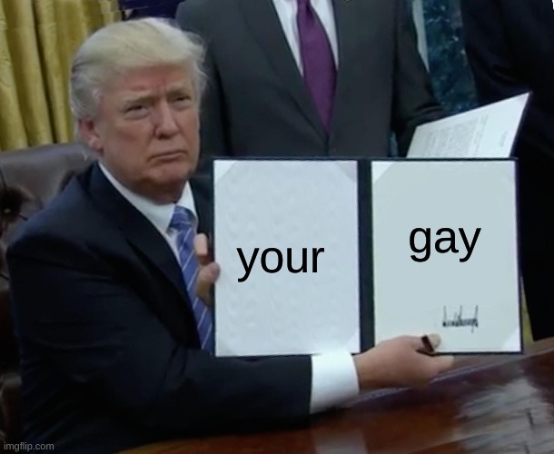 Trump Bill Signing | your; gay | image tagged in memes,trump bill signing | made w/ Imgflip meme maker