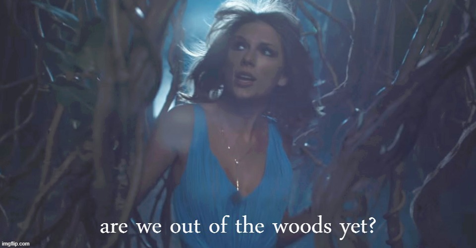 not quite, taylor. but in less than a month, we'll be back on our way. | image tagged in taylor swift are we out of the woods yet,music video,election 2020,2020 elections,biden,taylor swift | made w/ Imgflip meme maker