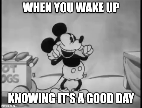 Disney saturday morning | WHEN YOU WAKE UP; KNOWING IT'S A GOOD DAY | image tagged in cartoons | made w/ Imgflip meme maker