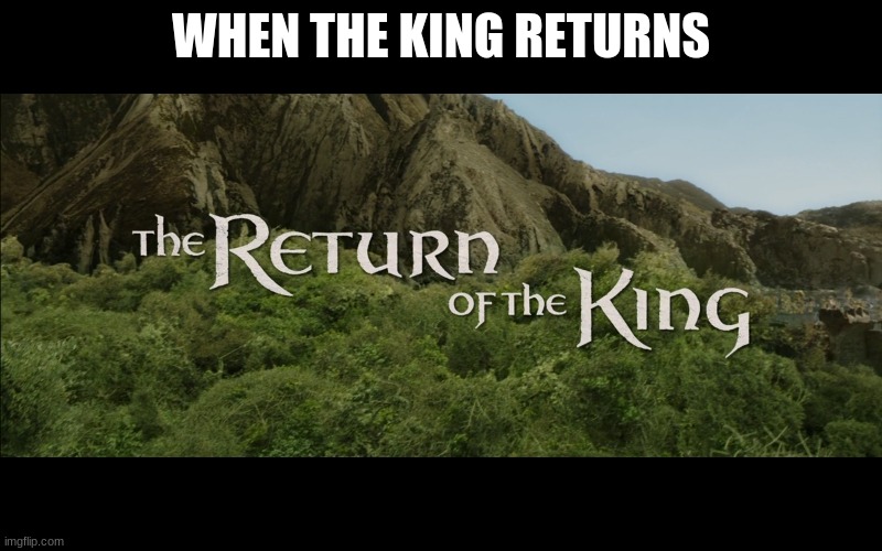 anti meme | WHEN THE KING RETURNS | image tagged in return of the king,lol | made w/ Imgflip meme maker