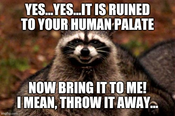Evil Plotting Raccoon Meme | YES...YES...IT IS RUINED
TO YOUR HUMAN PALATE NOW BRING IT TO ME!
I MEAN, THROW IT AWAY... | image tagged in memes,evil plotting raccoon | made w/ Imgflip meme maker