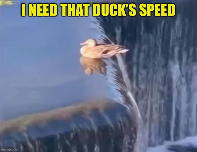 I NEED THAT DUCK’S SPEED | made w/ Imgflip meme maker