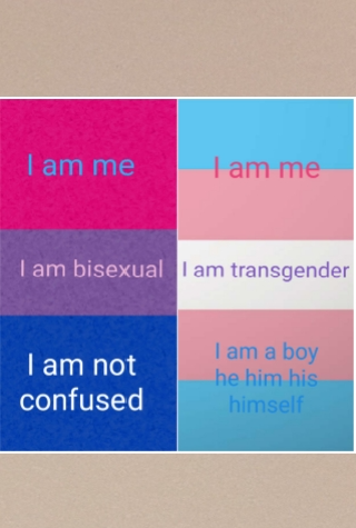 Transgender and bisexual Blank Meme Template