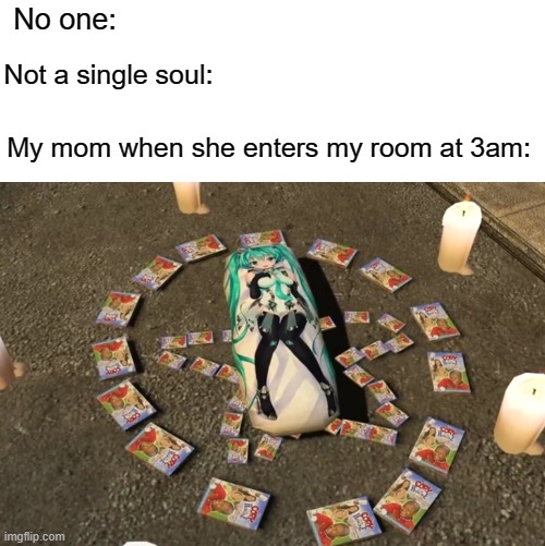 I've tried soo many times... | No one:; Not a single soul:; My mom when she enters my room at 3am: | image tagged in waifu's are real,anime,waifu | made w/ Imgflip meme maker