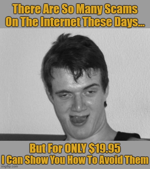 It will be the best $20 you'll ever spend (>‿◠)✌ | There Are So Many Scams On The Internet These Days... But For ONLY $19.95; I Can Show You How To Avoid Them | image tagged in 10 guy b/w craziness,memes,10 guy,internet scam,scammers | made w/ Imgflip meme maker