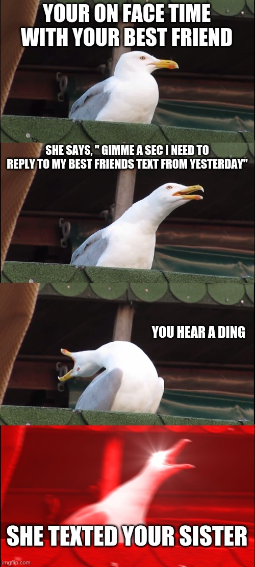 D: | YOUR ON FACE TIME WITH YOUR BEST FRIEND; SHE SAYS, " GIMME A SEC I NEED TO REPLY TO MY BEST FRIENDS TEXT FROM YESTERDAY"; YOU HEAR A DING; SHE TEXTED YOUR SISTER | image tagged in memes,inhaling seagull,lol | made w/ Imgflip meme maker