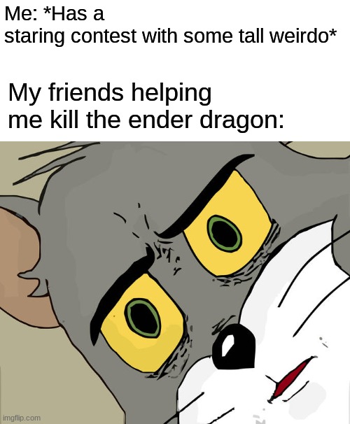 Unsettled Tom Meme | Me: *Has a staring contest with some tall weirdo*; My friends helping me kill the ender dragon: | image tagged in memes,unsettled tom | made w/ Imgflip meme maker