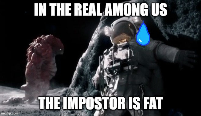 Impostor | IN THE REAL AMONG US; THE IMPOSTOR IS FAT | image tagged in impostor | made w/ Imgflip meme maker