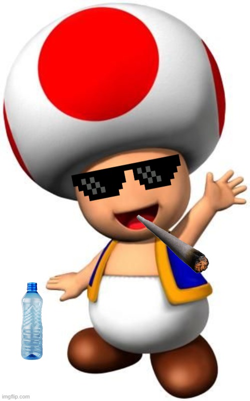 Toad | image tagged in toad | made w/ Imgflip meme maker