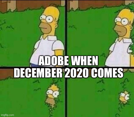 It’s true | ADOBE WHEN DECEMBER 2020 COMES | image tagged in homer simpson in bush - large,2020,adobe,memes,sad but true | made w/ Imgflip meme maker