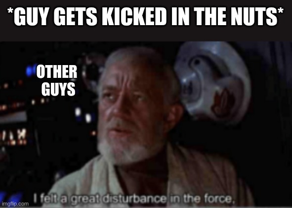 *GUY GETS KICKED IN THE NUTS*; OTHER 
GUYS | image tagged in the force | made w/ Imgflip meme maker