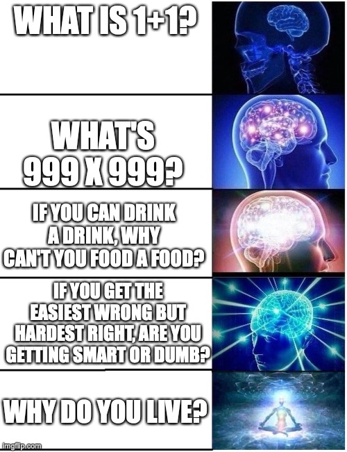 Levels of questions | WHAT IS 1+1? WHAT'S 999 X 999? IF YOU CAN DRINK A DRINK, WHY CAN'T YOU FOOD A FOOD? IF YOU GET THE EASIEST WRONG BUT HARDEST RIGHT, ARE YOU GETTING SMART OR DUMB? WHY DO YOU LIVE? | image tagged in expanding brain 5 panel | made w/ Imgflip meme maker