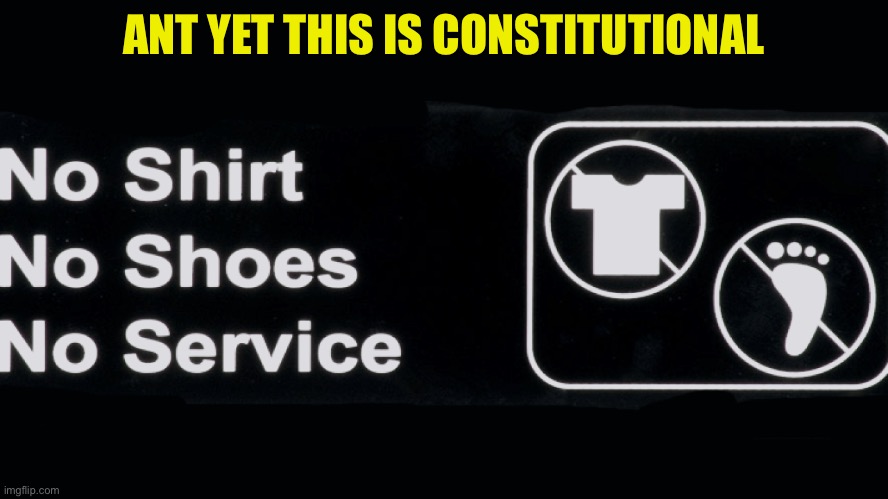 ANT YET THIS IS CONSTITUTIONAL | made w/ Imgflip meme maker