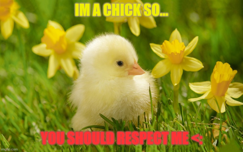 evil chucky | IM A CHICK SO... YOU SHOULD RESPECT ME <: | image tagged in tomboy | made w/ Imgflip meme maker