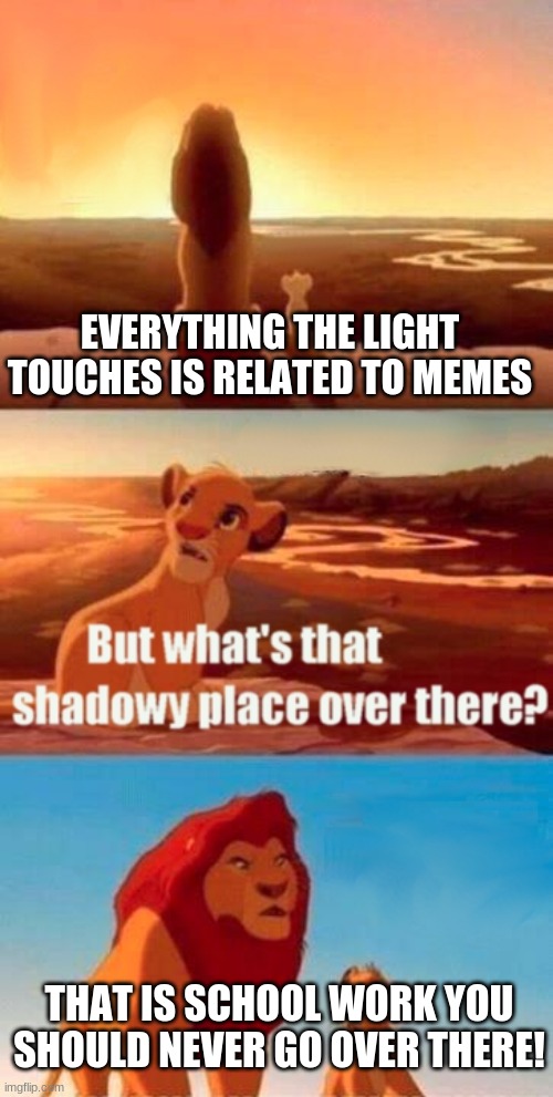 never go over there!!!! | EVERYTHING THE LIGHT TOUCHES IS RELATED TO MEMES; THAT IS SCHOOL WORK YOU SHOULD NEVER GO OVER THERE! | image tagged in memes,simba shadowy place | made w/ Imgflip meme maker