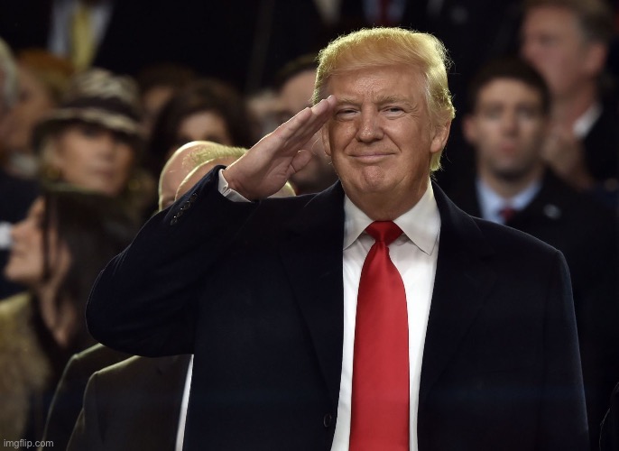 When you salute their service with their favorite racist president. | image tagged in trump salute maga,trump is an asshole,racist,racism | made w/ Imgflip meme maker
