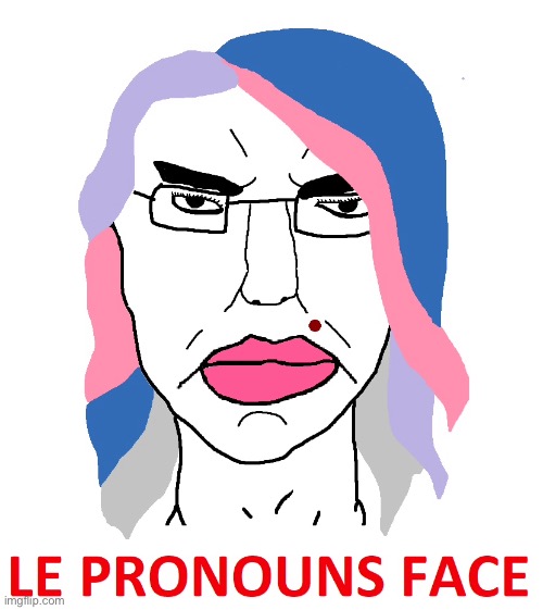 ^^Pronouns in the bio^^ | image tagged in pronouns in the bio,far left retard,muh feminism,degeneracy | made w/ Imgflip meme maker