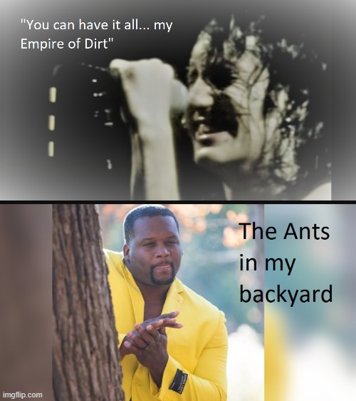 Ant Hills | image tagged in backyard | made w/ Imgflip meme maker